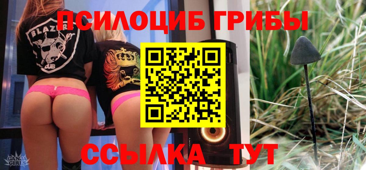 Псилоцибиновые грибы мухоморы  Вход с VPN  Псилоцибиновые грибы MAGIC MUSHROOMS  Аргун 